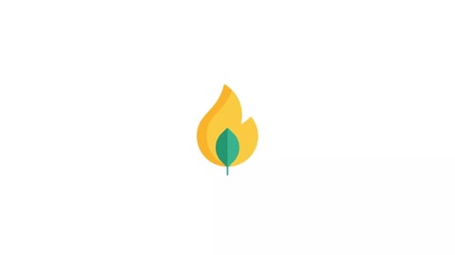 Flat Design Nature Flame and Leaf Icon Animation