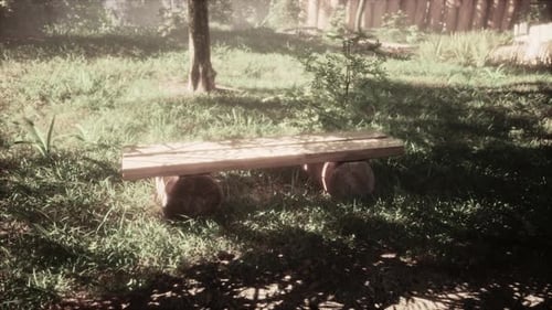 Empty Park Bench in a Japanese Park