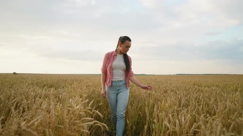 Young Woman Walking Through a Golden Wheat Field