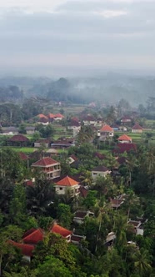 Beautiful Aerial View of Balinese Village Homes and Nature