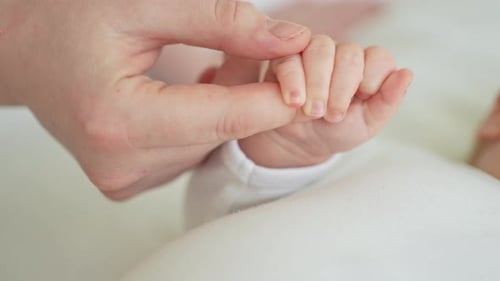 Tiny Hand Grasps Adult Finger Showing Love