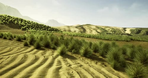 Desert Dunes with Green Grass and Mountains Animation