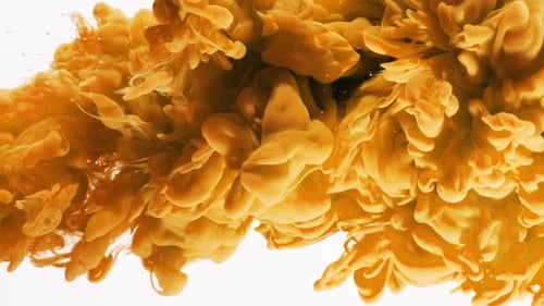 Golden Orange Ink Cloud Diffusion in Water