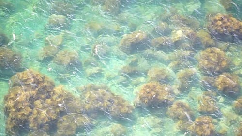 Aerial View on Calm Azure Sea and Volcanic Rocky Shores Small Waves on Water Surface Nature Summer