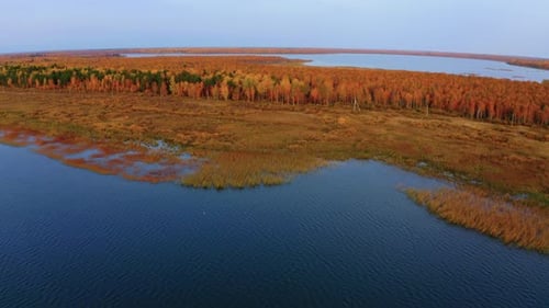 Luftaufnahme von oben auf den schönen See, umgeben von buntem Wald im Herbst