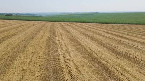 Aerial View of a Wheat Field After a Harvest