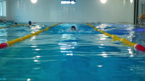 Front View Swimming Pool Track with Motivated Sportsman Swimming in Slow Motion Appearing at Front