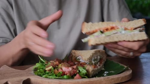 Close Up of Sandwich and Salad on Plate