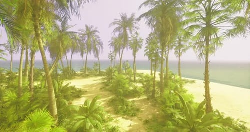 Tropical Paradise with Palm Trees and Serene Beach at Dusk