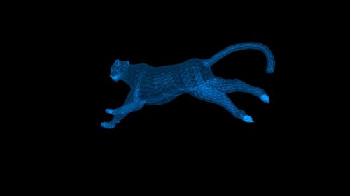 Animation Running Cheetah