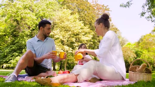 Family Enjoying a Picnic in a Sunny Park