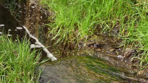 Rainwater flows into the canal.