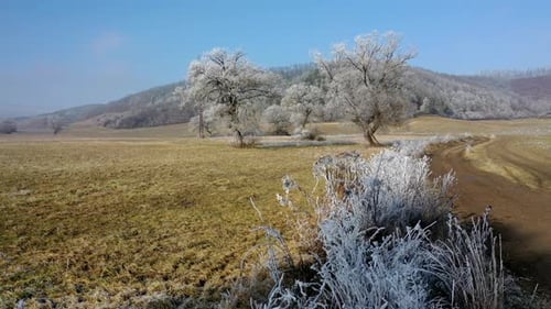 Slowly flying over frozen branches with beautiful trees and hills in the background. Winter colors