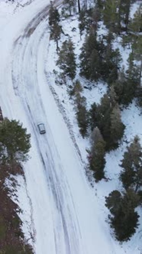 Ruta nevada en el bosque