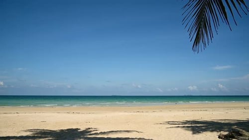 Praia tropical de areia branca com coqueiro em um dia ensolarado.