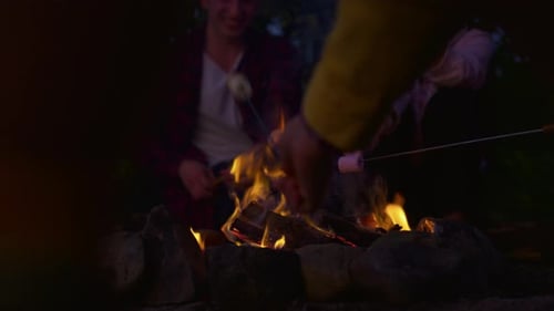 Friends Roasting Marshmallows Around Campfire at Night