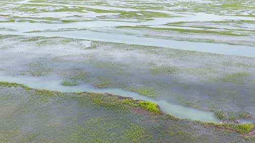 Aerial view of wetland marsh landscape with waterways