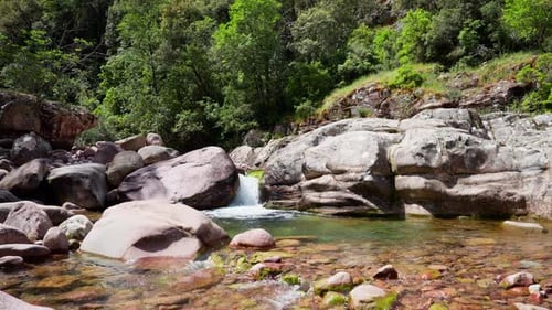 Static shot of a small stream of water in the woods. Natural landscape. River flowing.