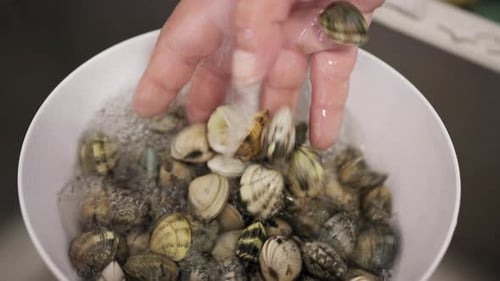 Cook's Hand Is Rinsing Clams Under Running Water