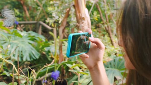 Nature butterfly, mobile and woman with phone for picture memory of travel adventure in Rainforest
