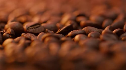 Roasted Coffee Beans Macro Close Up