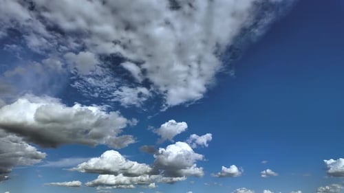 White Cumulus Clouds Drifting Across a Clear Blue Sky