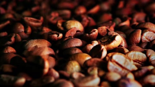 Close-up Coffee Grains 4k