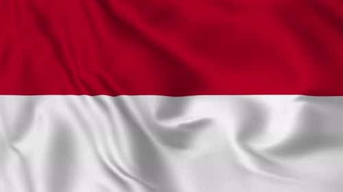 Realistic Fabric Waving Flag Loop