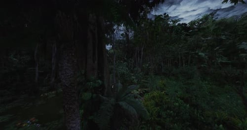 Un scientifique de terrain échantillonne méticuleusement l'eau près des racines des arbres la nuit