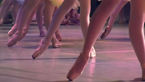 Young Ballerinas Practice Ballet on Stage in Tutus