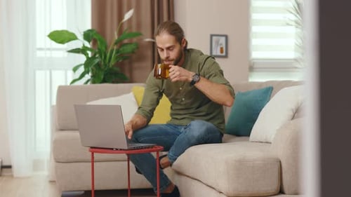 Close Up Handsome Man Use Laptop Sitting on Sofa Use Laptop Drink Tea Work at Home Focused