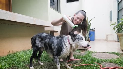 Woman Gives Dog a Bath Outside