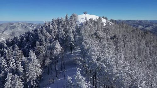 Aerial drone view of mountain peak surrounded by frozen trees