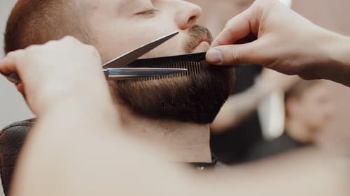 Bearded Man Beard Trim at Barbershop Close Up