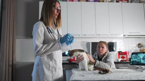 Veterinarian Preparing Injection for Cat with Owner
