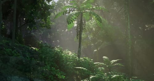 Lush Tropical Jungle Forest with Sunlight Rays Background