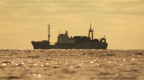 Abstract Sea Ocean Sunset Nature Background with Seagulls and Fishing Boat Trawler Catches Fish
