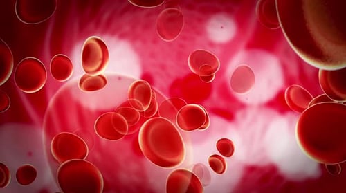 3d rendering red blood cells in vein