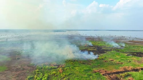 An aerial perspective of a wildfire in a marshy area.
