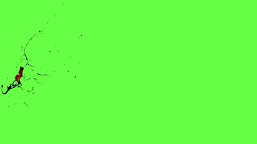 Fluid Red Ink Splatter Reveal Animation