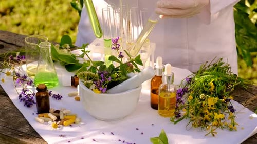 Médecine alternative, herbes médicinales, focus sélectif