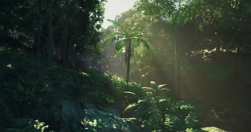 Sunlight Filtering Through Lush Trees in a Serene Forest Setting