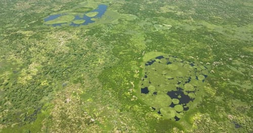 Agusan Marsh Wildlife Sanctuary in the Philippines