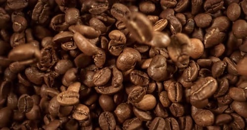 Nahaufnahme von Kaffeesamen. Duftende Kaffeebohnen Super Macro Close Up. In Superzeitlupe aufgenommen