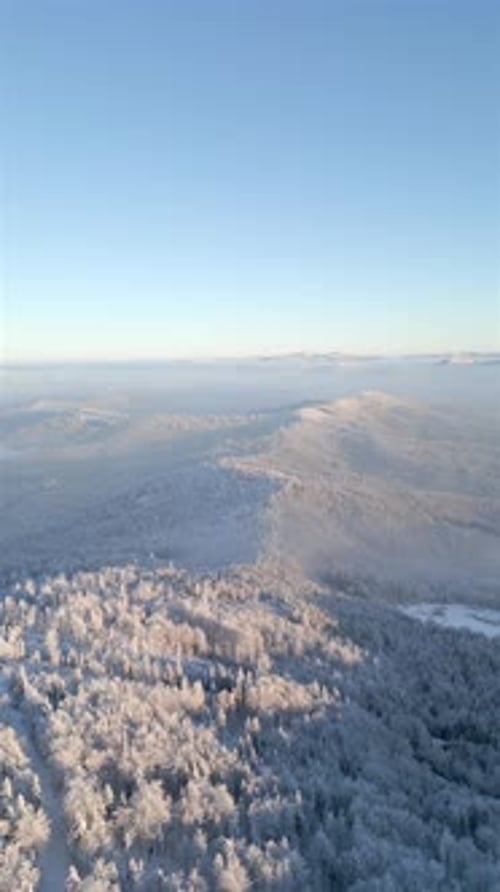 Beautiful Frosty Mountain Forest Landscape From High