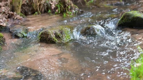 Close-up water flows through rocks in a river at the countryside, natural calm landscape