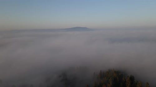 Flying above the clouds showing the forest and the peak of the mountain. Majestic clouds landscape