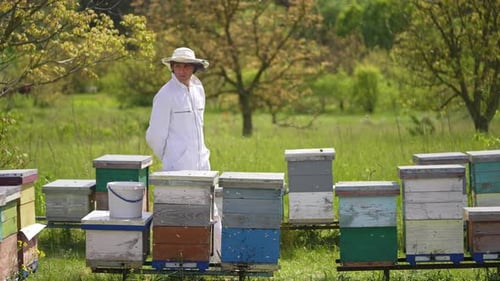 Beekeeper Inspecting Beehives on a Sunny Day