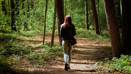Woman Walking Through Forest on Sunlit Dirt Path Among Tall Trees Female Strolling Peacefully Along