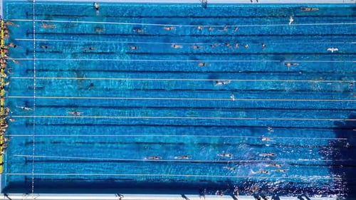 Swimmers are Training in an Outdoor Pool Before the Competition View From a Drone Topdown